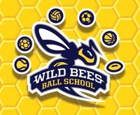 Thumb logo wild bees ball school